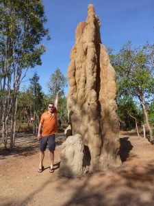 Ruud bij een termietenheuvel