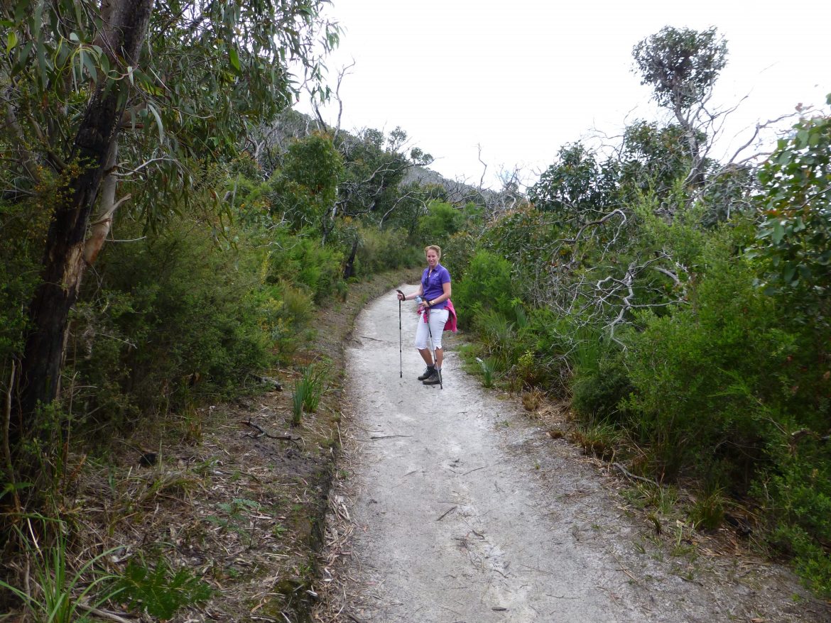 Lilly Pilly Gully in Wilsons Promontory