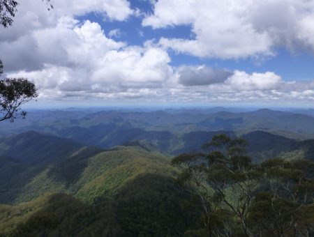 Groene vergezichten in New England National Park
