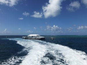 Duiken vanaf een ponton bij het Great Barrier Reef