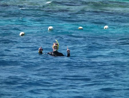 Snorkelen op het Great Barrier Reef