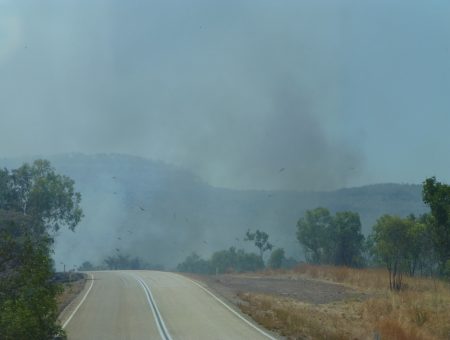 Bosbrandjes in het hete Noorden