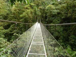 Costa Rica jungle hangbrug