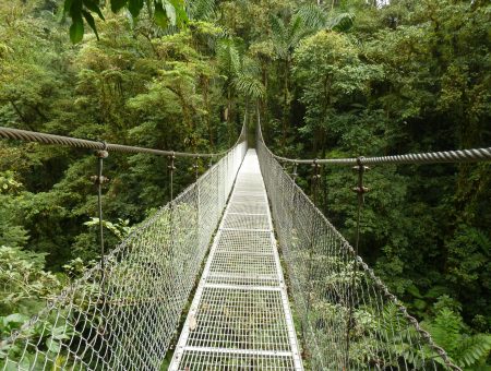 Video: Door de jungle van Costa Rica