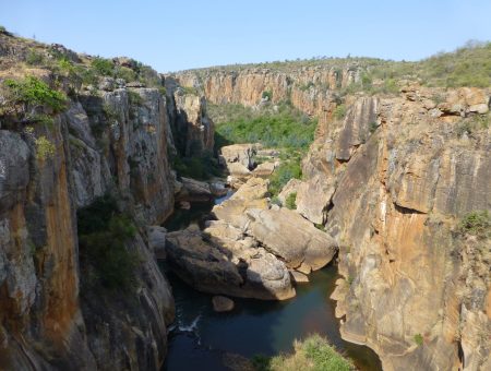 Video: Big 5 spotten in Zuid-Afrika