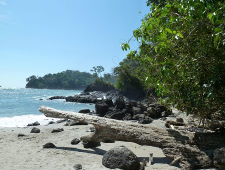 Regenwoud tot aan het strand