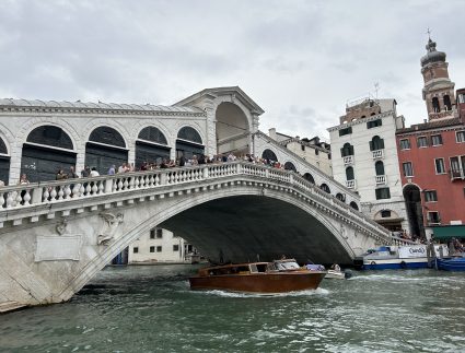 Rialto brug Venetië